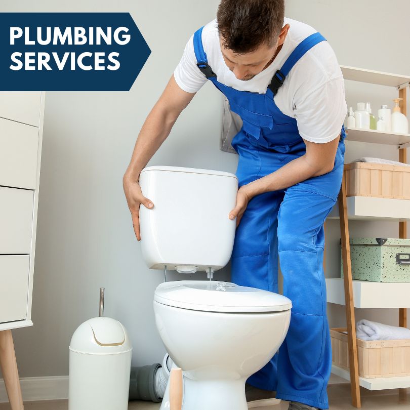 Plumbing Company in Perrinton, MI
